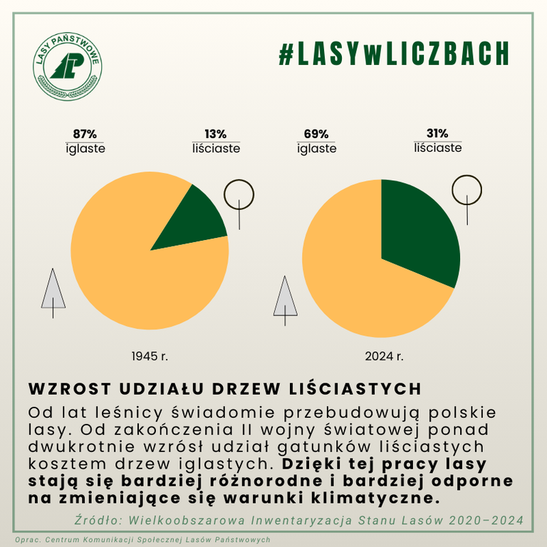 Grafika przedstawiająca wzrost udziału drzew liściastych