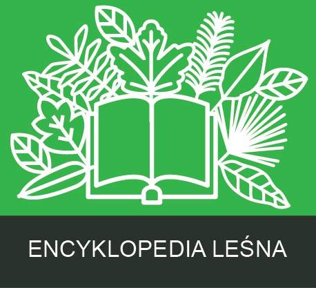Link do strony Leśna encyklopedia