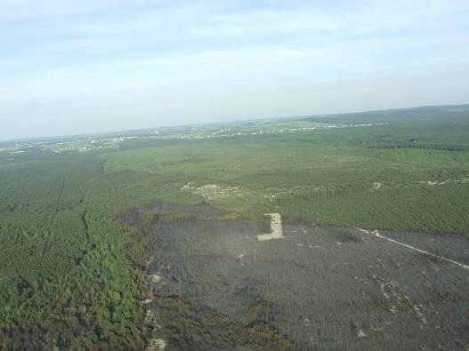 Pożar w okolicach Bukowna (Nadleśnictwo Olkusz 11.05.2012)