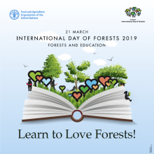 21 marca Międzynarodowy Dzień Lasów