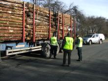 Kontrole transportów drewna….