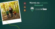 Wyrwij się z miasta do lasu dzięki czaswlas.pl