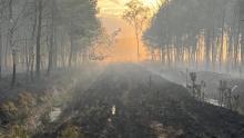 Trudna sytuacja pożarowa w lasach