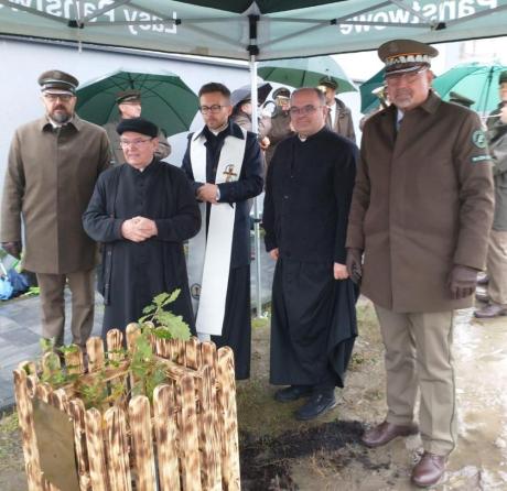 Sadzenie Dębu Papieskiego w Opolu