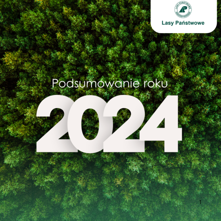 Grafika&#x20;z&#x20;napisem&#x20;&#x22;Podsumowanie&#x20;roku&#x20;2024&#x22;&#x20;z&#x20;logotypem&#x20;Lasy&#x20;Państwowe