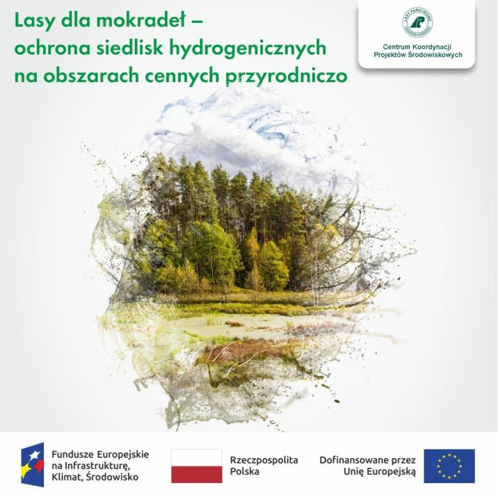 Grafika prezentująca projekt Lasy dla mokradeł z logotypami partnerów