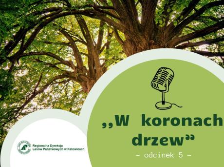 #5 podcast "W koronach drzew"