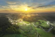 Dzień Ziemi 2026: nasza moc dla lasów i planety