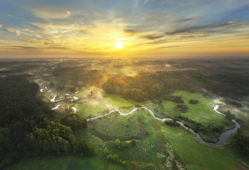 Wschód słońca nad lasem (Fot. Piotr Krześlak)